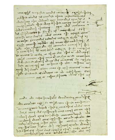 Códice sobre el vuelo de los pájaros, Folio 9 verso de Leonardo da Vinci